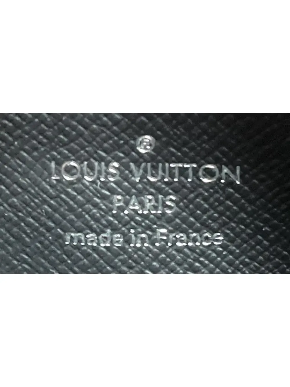 Louis Vuitton introducing louis